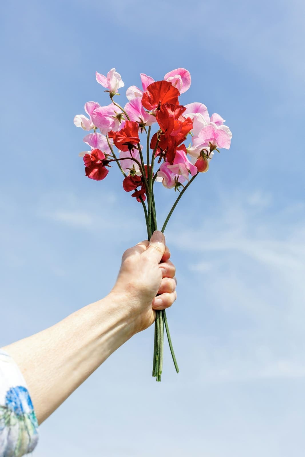 花束を持つ手